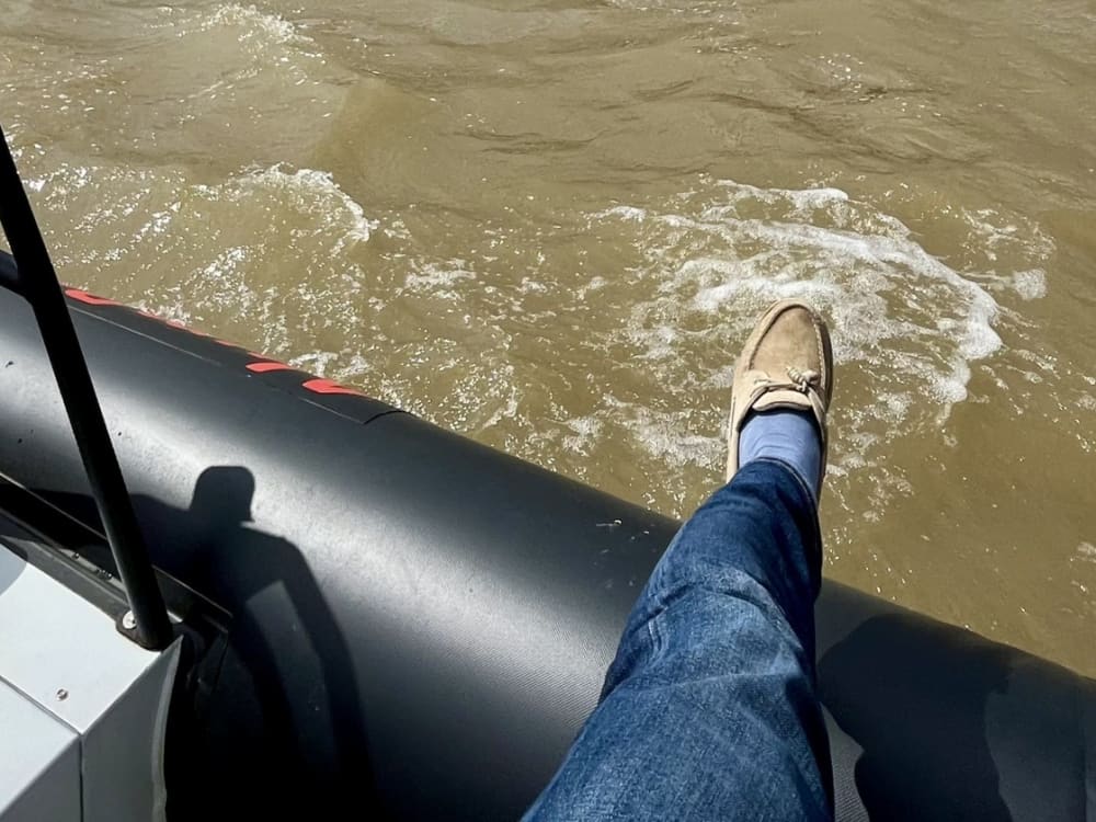 Una giornata magica a Rotterdam a bordo di un motoscafo.