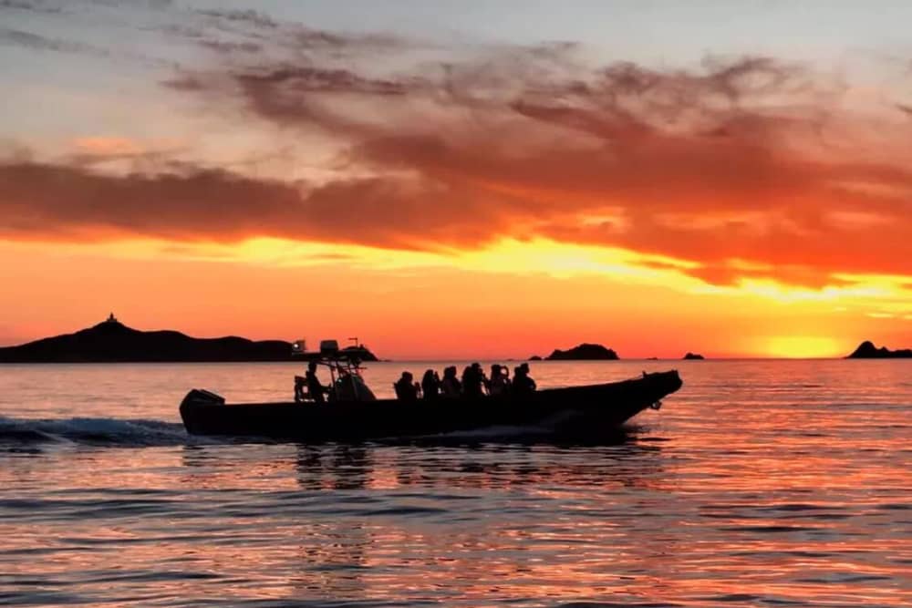 Privéboottocht met eigen schipper | Zonsondergang bij Île d'Or – inclusief aperitief en zwemmen