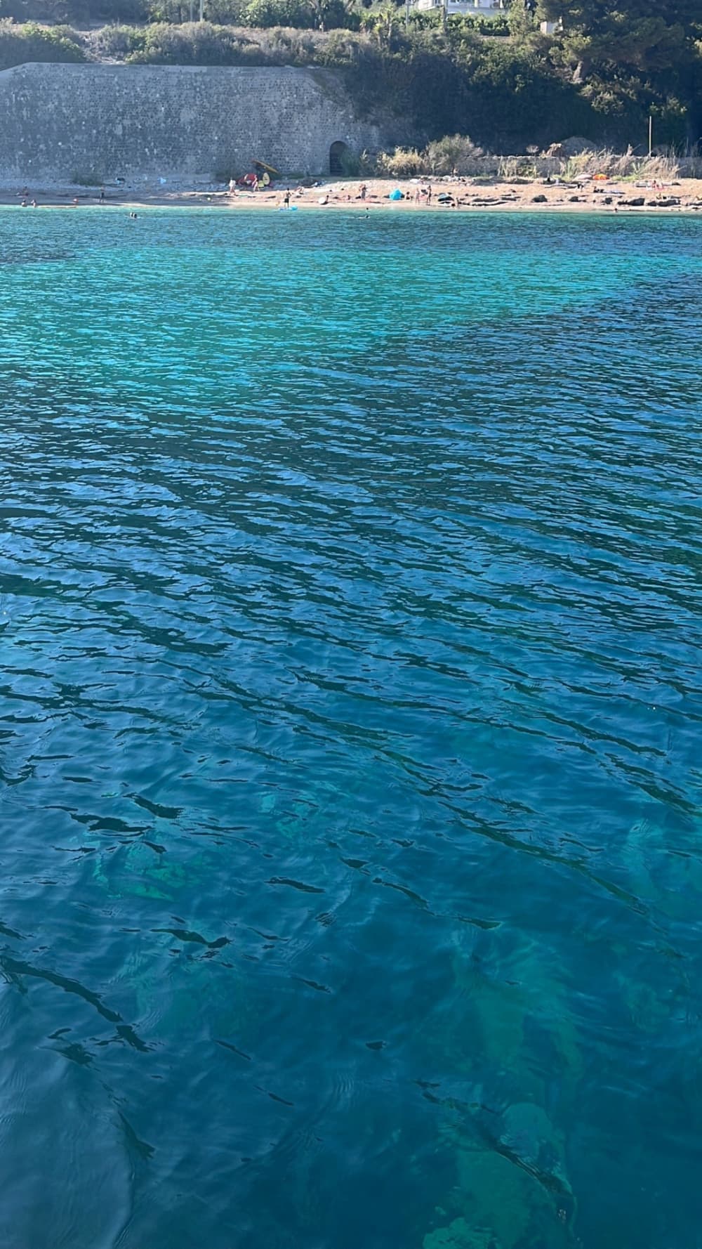 Genießen Sie die Sonne auf einer 8-stündigen Bootsfahrt in Monte Carlo