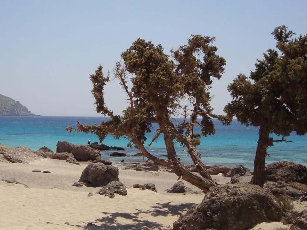 Full Day Trip to Elafonisi-Balos-Gramvousa-Menies
