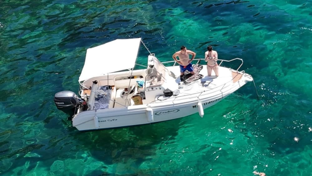 Genießen Sie einen halben Tag auf einem Motorboot in Bandol