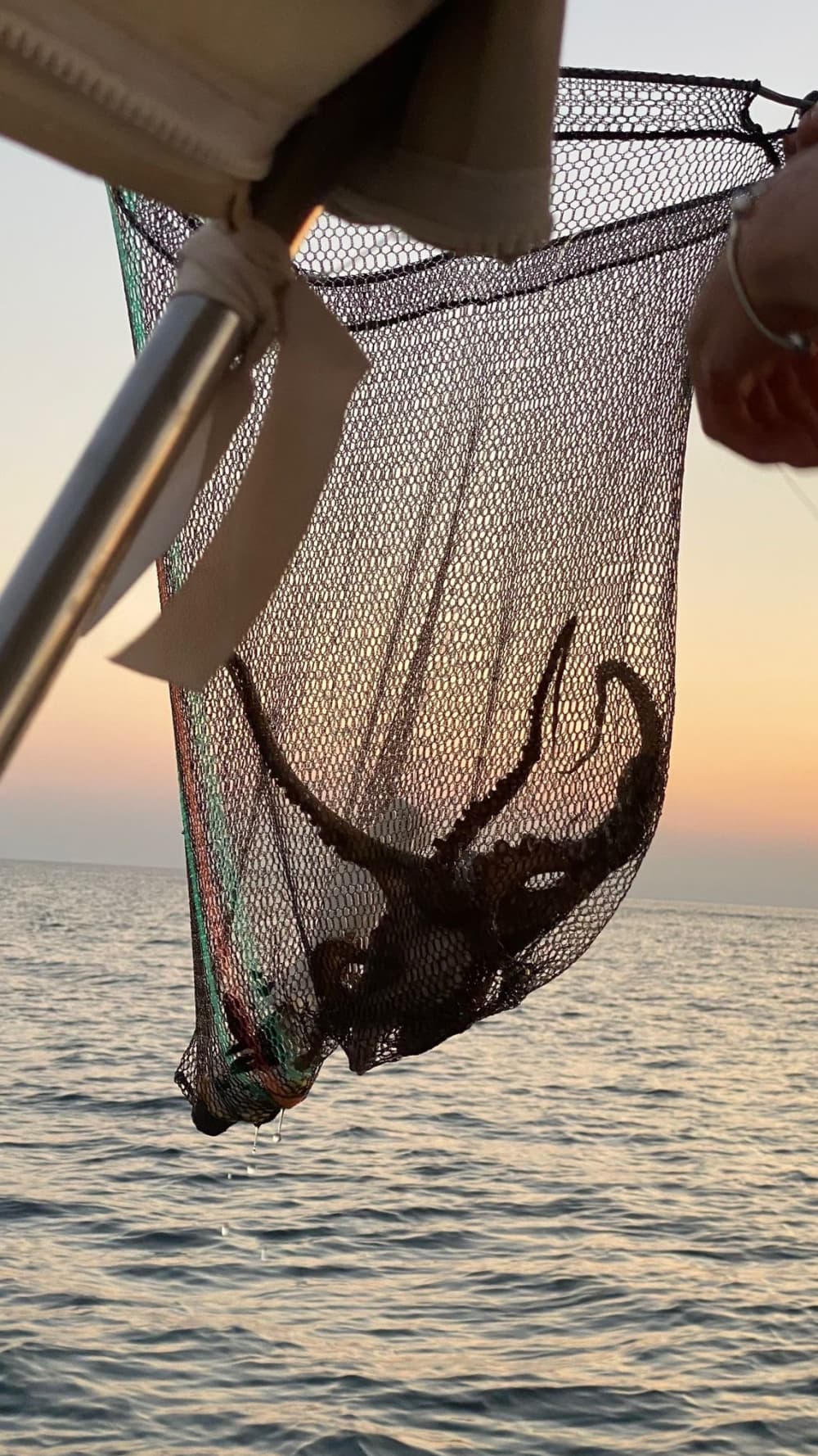 Goditi il sole con un'escursione in barca di 8 ore a Lizzano.