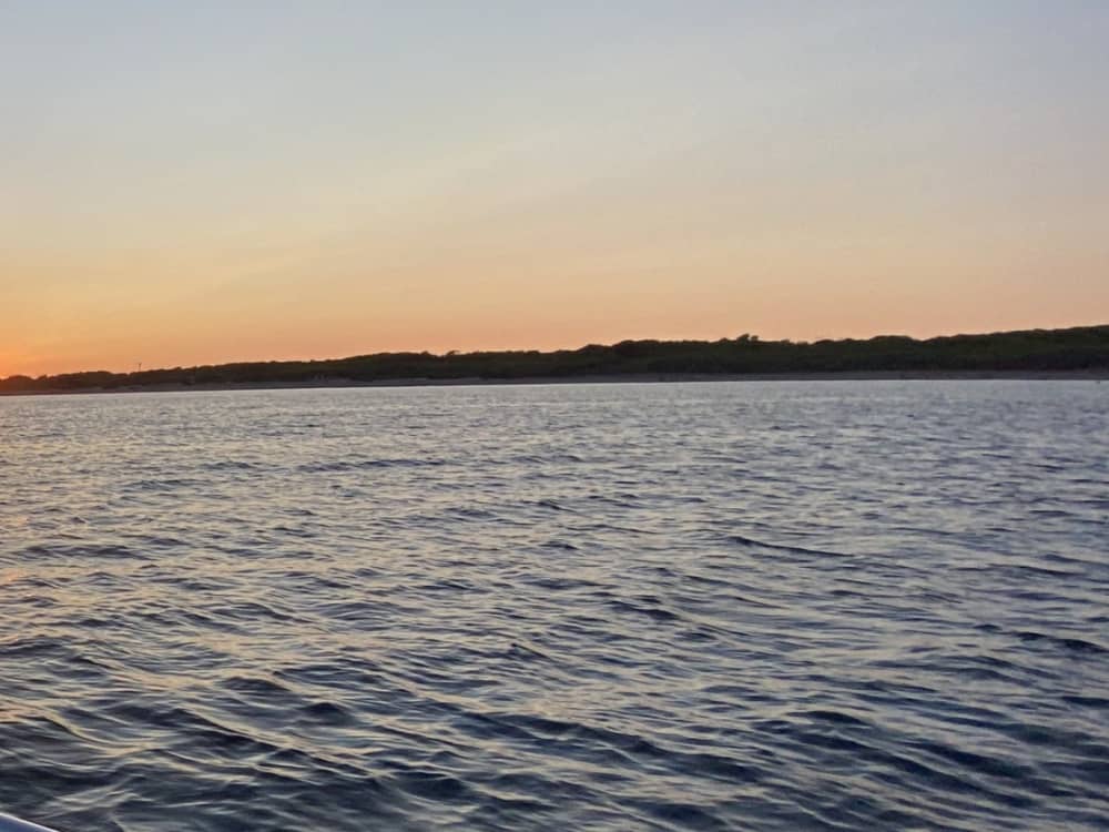 Goditi il sole con un'escursione in barca di 8 ore a Lizzano.