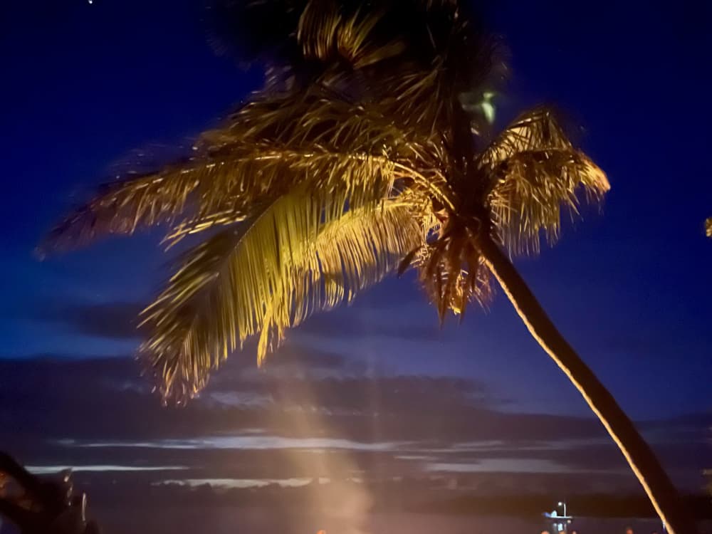 Découvrez Le Marin lors d'une excursion en voilier d'une journée.