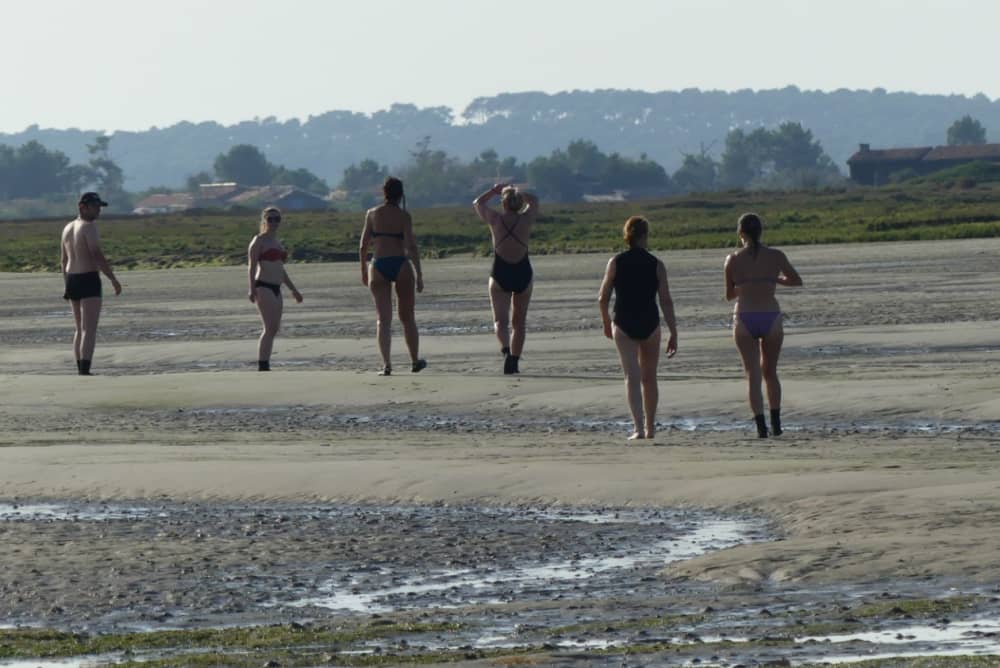 Sunset Escape: Entdecken Sie die Bucht von Arcachon auf eine andere Art