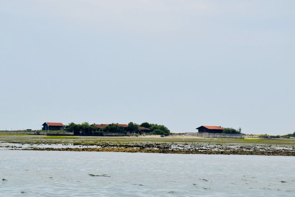 Alba sul Bassin: esplorazione dell'Isola degli Uccelli e delle capanne di Tchanquées