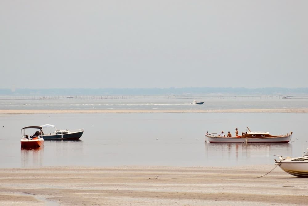 Alba sul Bassin: esplorazione dell'Isola degli Uccelli e delle capanne di Tchanquées