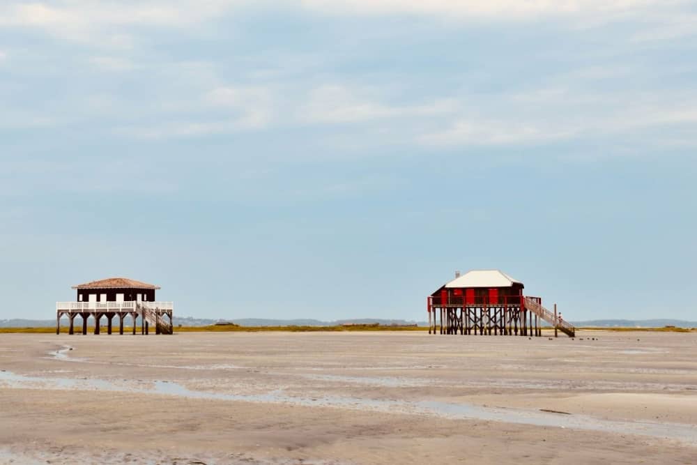 Alba sul Bassin: esplorazione dell'Isola degli Uccelli e delle capanne di Tchanquées