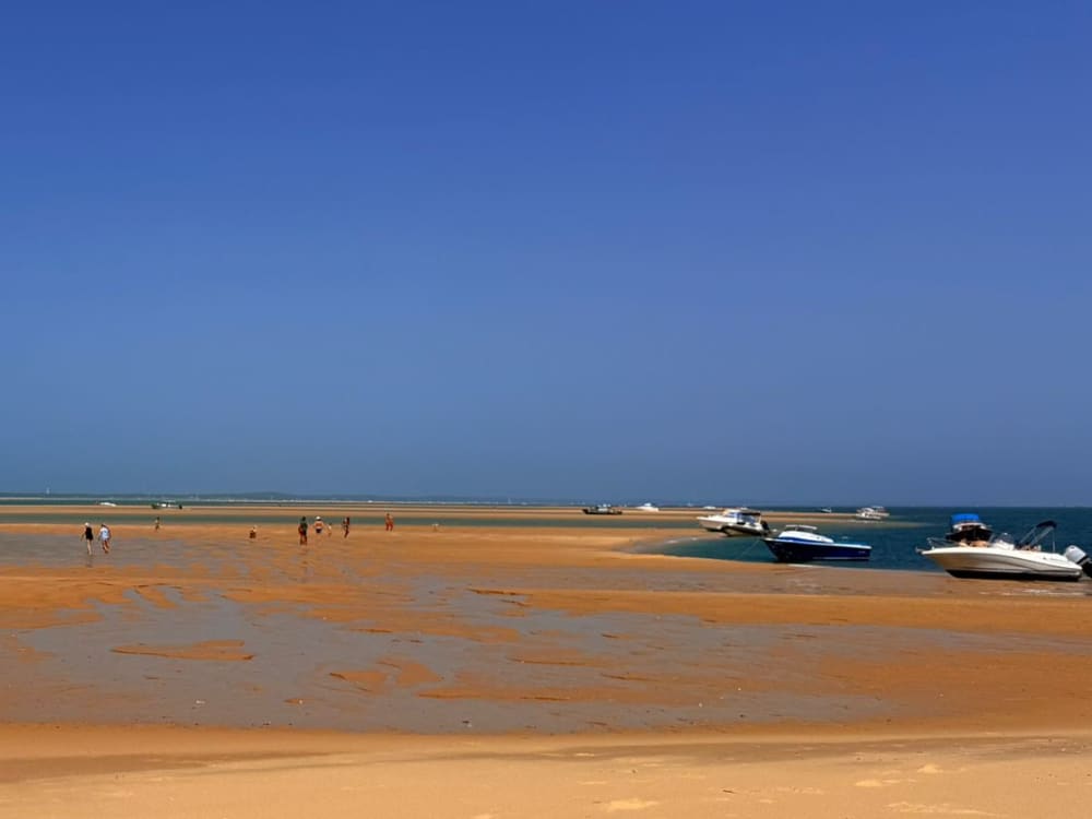 Sunset Escape: Entdecken Sie die Bucht von Arcachon auf eine andere Art