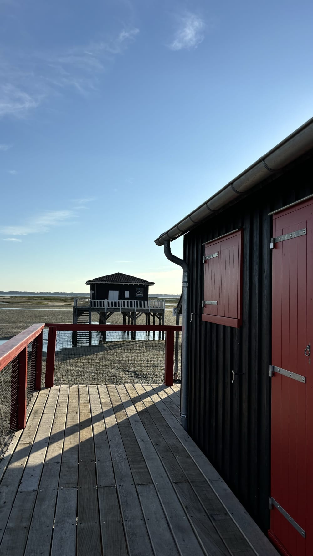 Alba sul Bassin: esplorazione dell'Isola degli Uccelli e delle capanne di Tchanquées