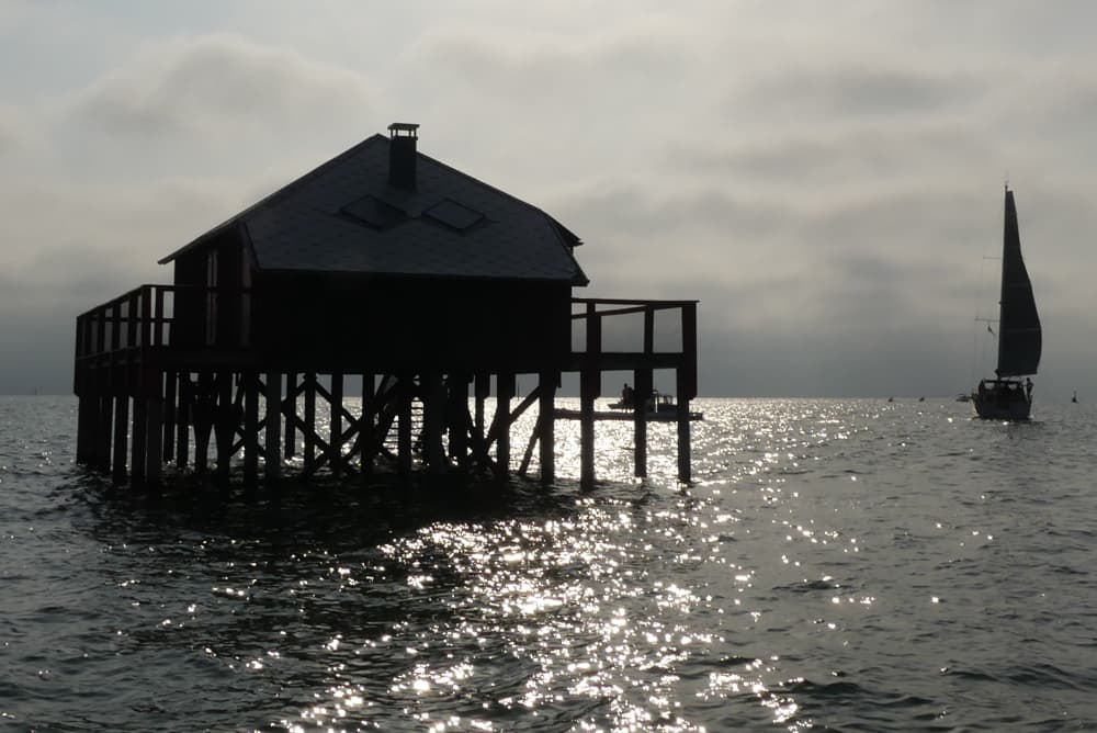 Alba sul Bassin: esplorazione dell'Isola degli Uccelli e delle capanne di Tchanquées