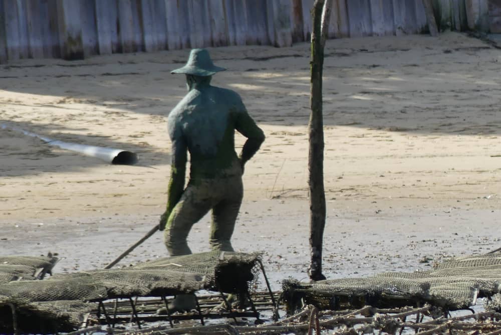 Entspannung und Verkostung am Cap Ferret