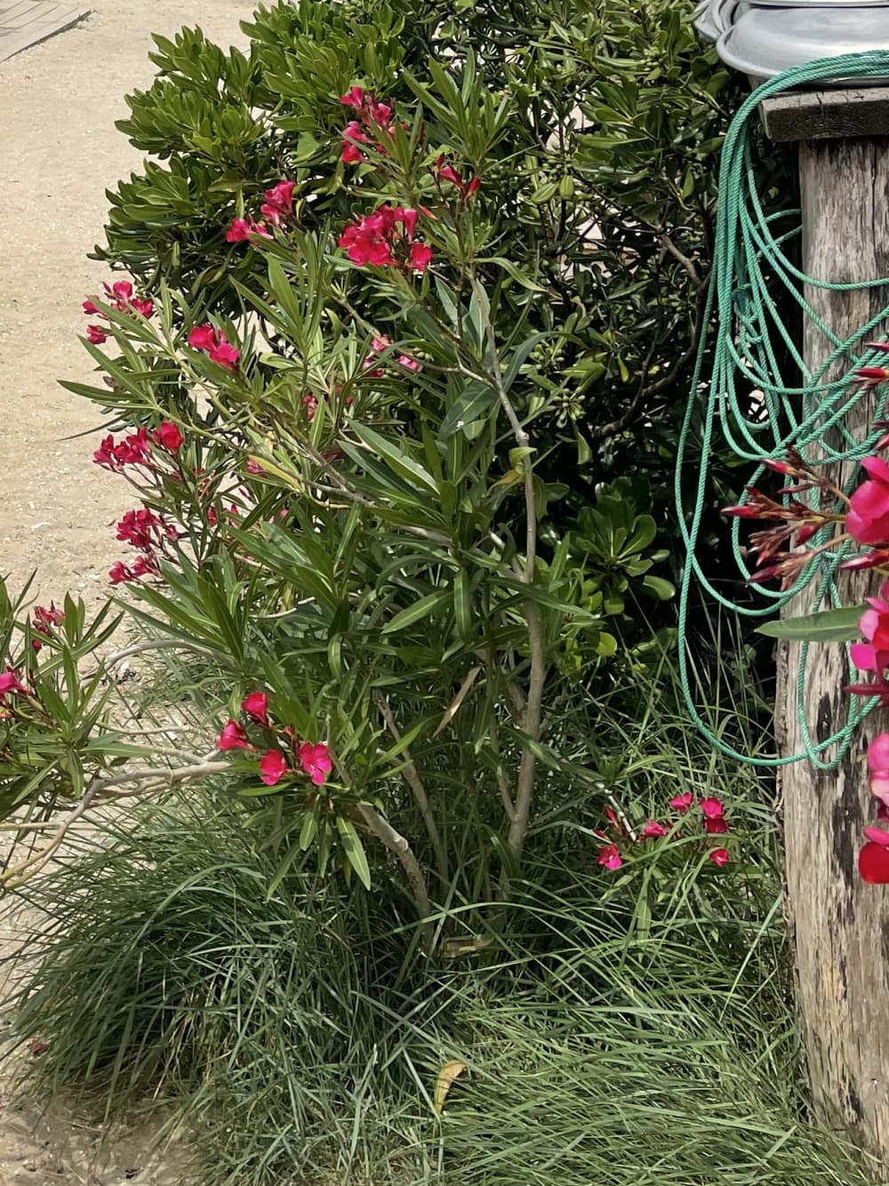 Entspannung und Verkostung am Cap Ferret