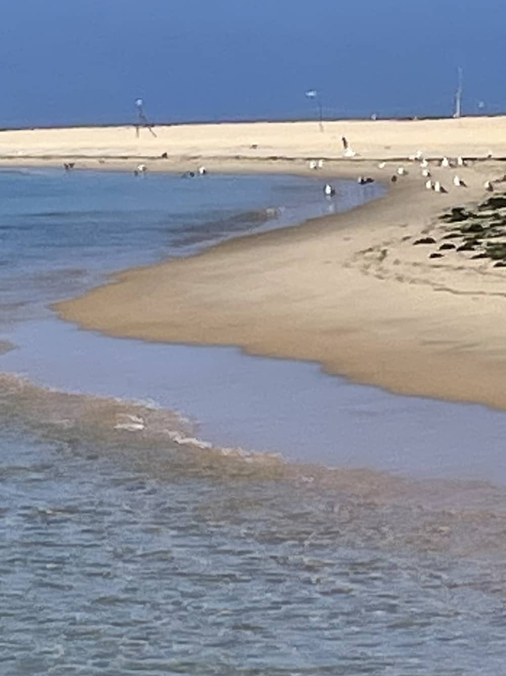 Sunset Escape: Entdecken Sie die Bucht von Arcachon auf eine andere Art