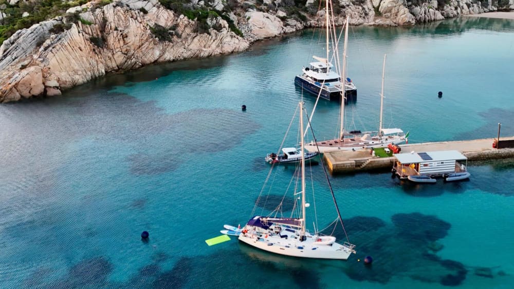 Discover Tavolara and dolphins tours