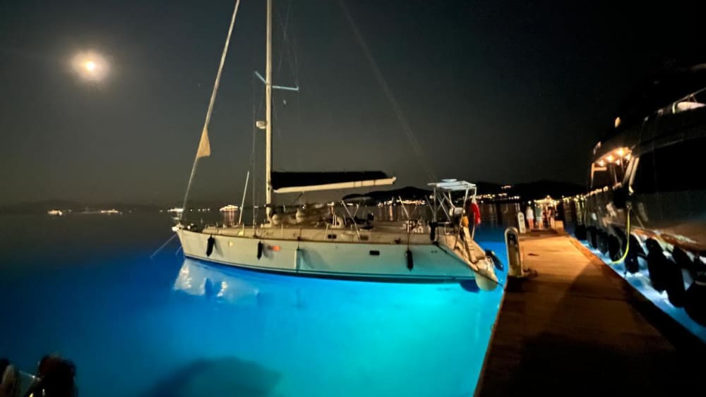 Discover Tavolara and dolphins tours