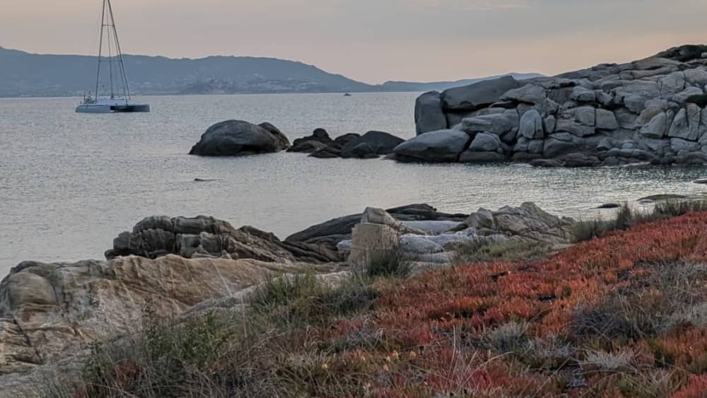 Escursione in barca di un'intera giornata a L'Île-Rousse e alle calette selvagge della Corsica.