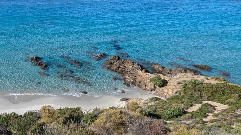 Escursione in barca di un'intera giornata a L'Île-Rousse e alle calette selvagge della Corsica.