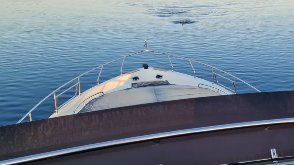 Excursion en bateau privé vers les îles Kornati et Telašćica (9 heures)
