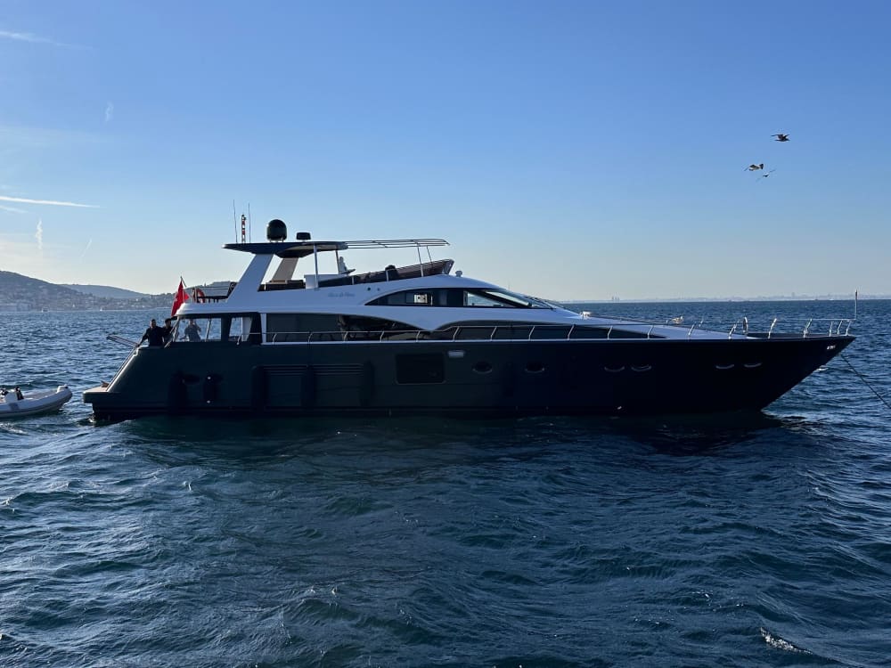 Bosporus-Kreuzfahrt mit Aussicht, Komfort und Erfrischungen