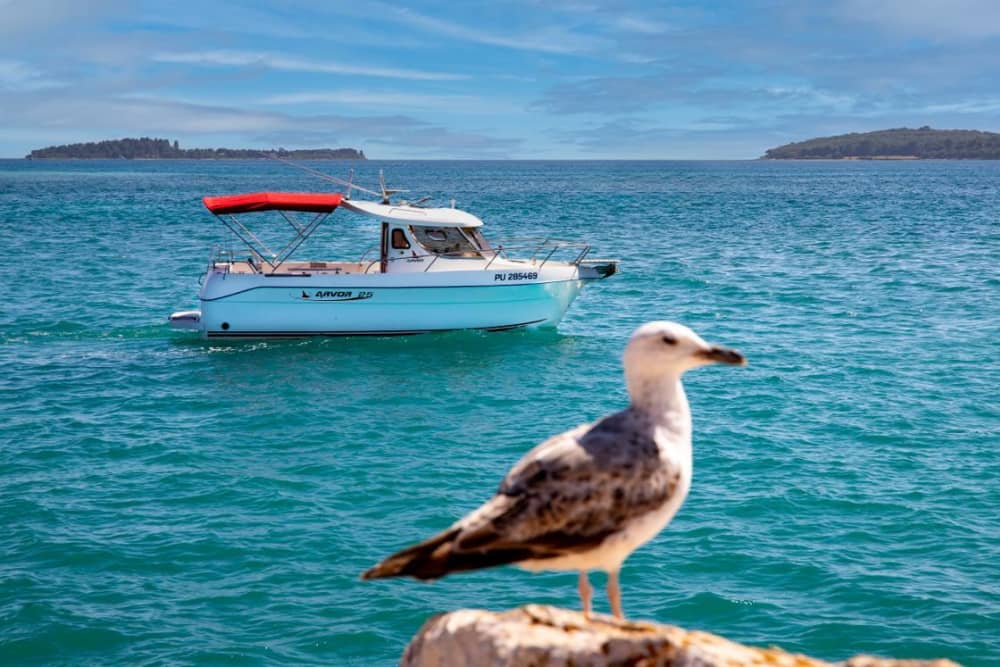 Discover Fažana: A full day of sun on a motorboat