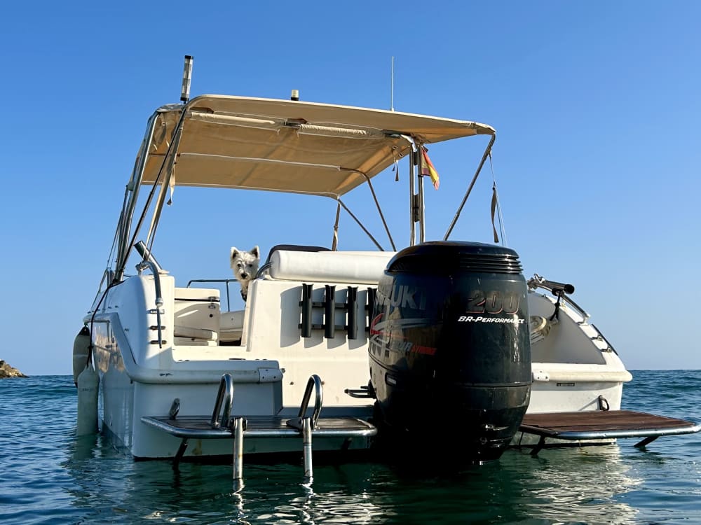 Tour di un giorno: scopri la magia della costa di Barcellona e vai a Sitges [facoltativo]