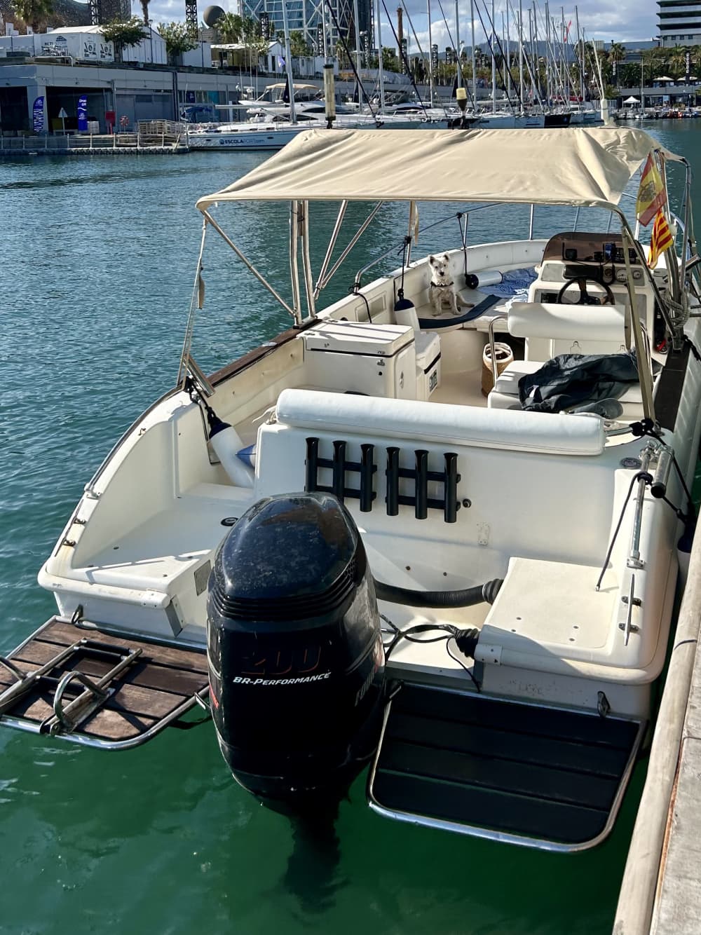 Tour di un giorno: scopri la magia della costa di Barcellona e vai a Sitges [facoltativo]