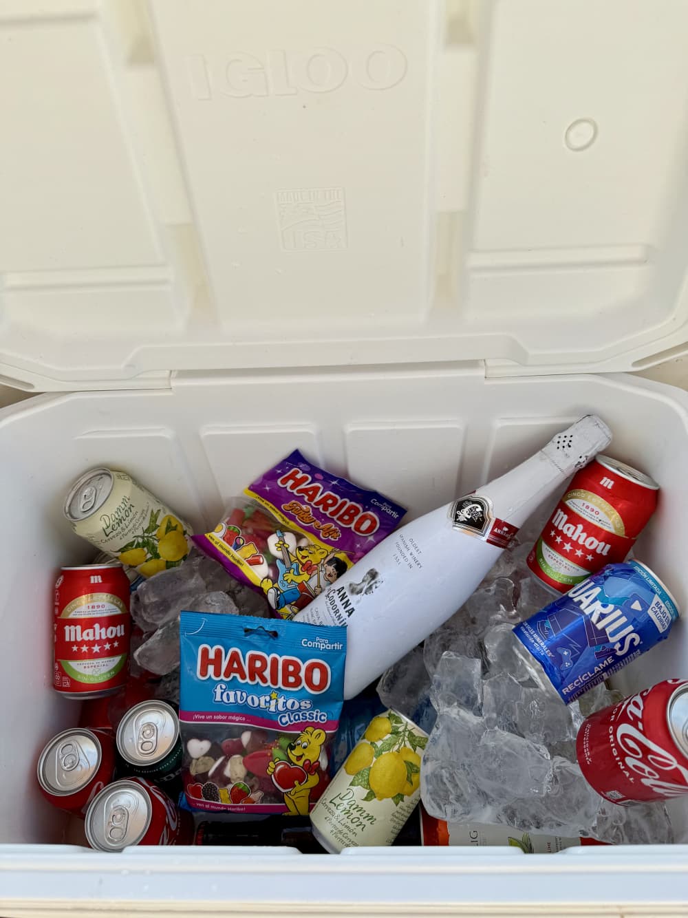 🏄‍♀️ Esperienza Wake & Ski: 2 ore di puro divertimento con attrezzatura di alta qualità