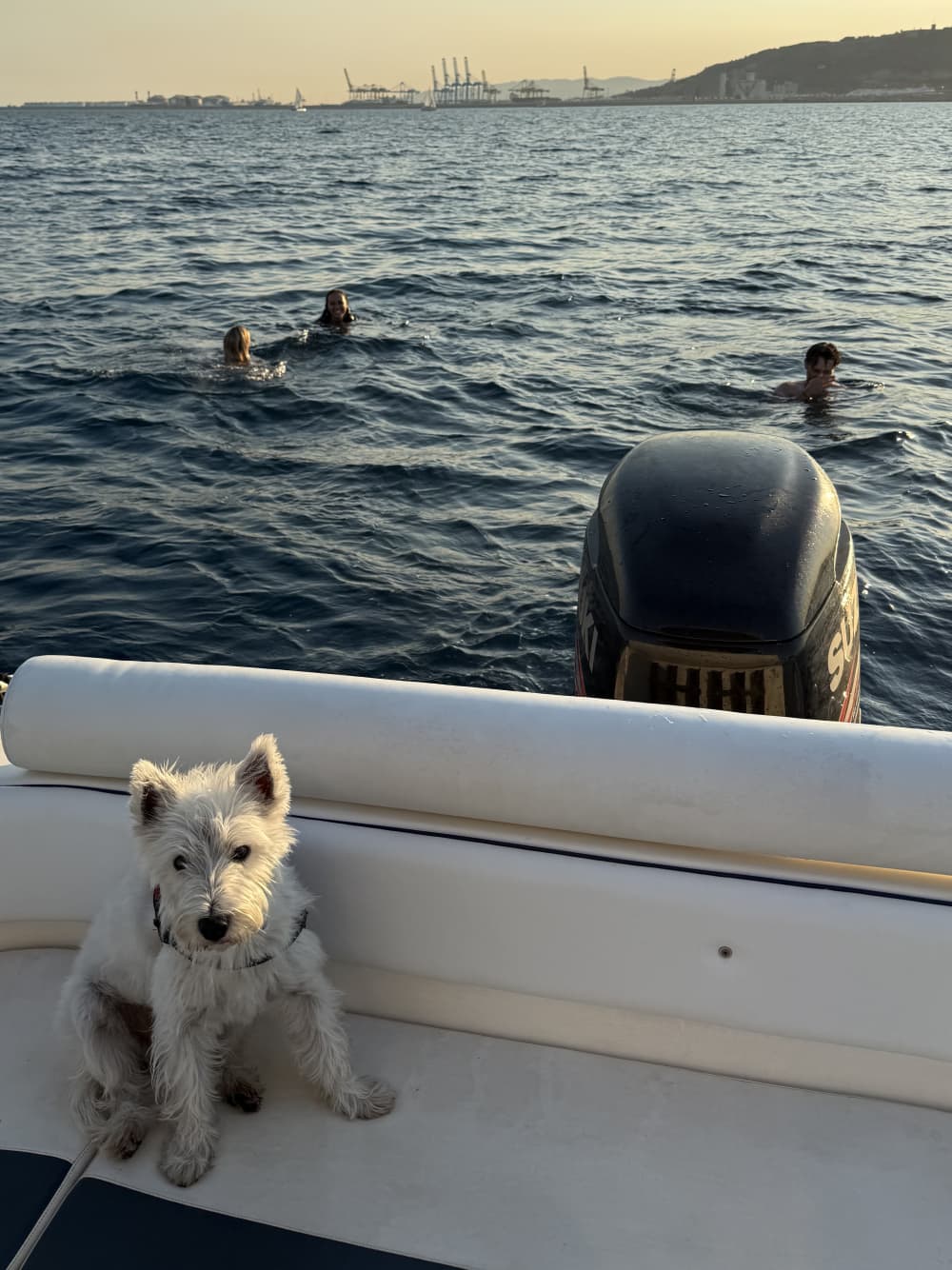 🏄‍♀️ Esperienza Wake & Ski: 2 ore di puro divertimento con attrezzatura di alta qualità