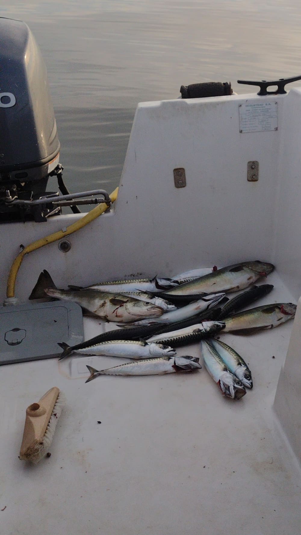 Explorez Loctudy en bateau : une journée complète sur l'eau à bord d'un bateau à moteur