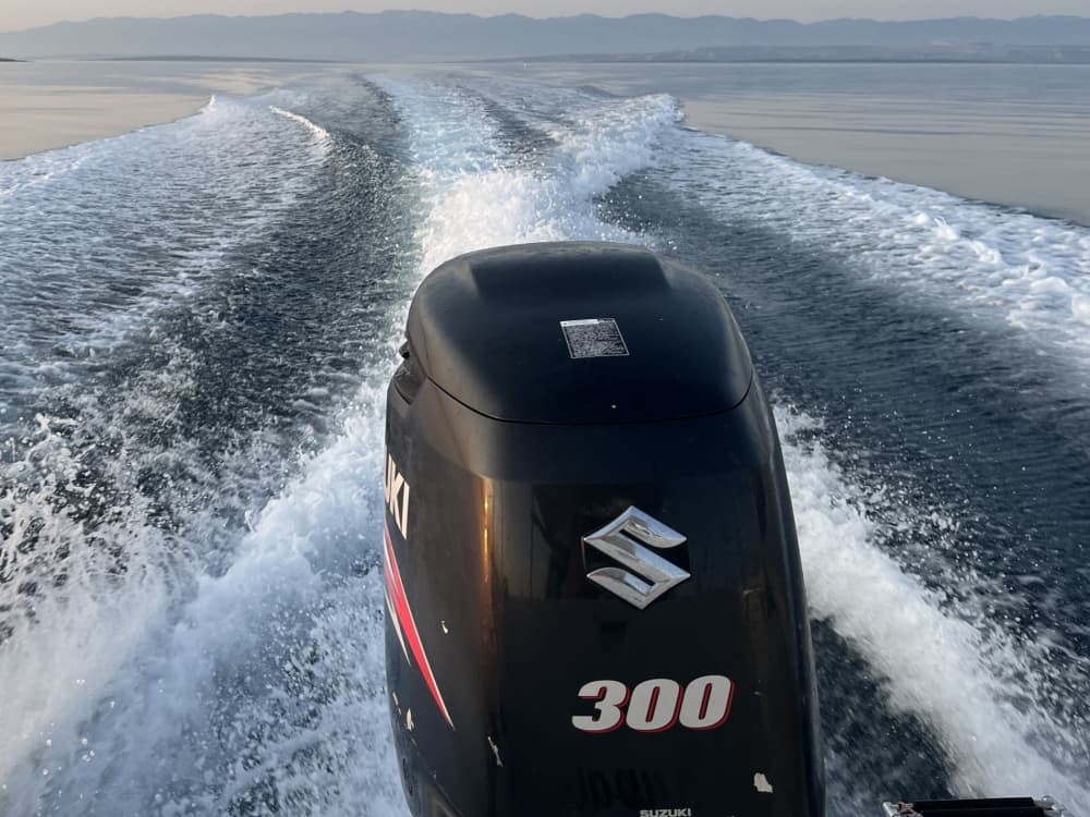 Din privata dag med sol och glädje i Novalja