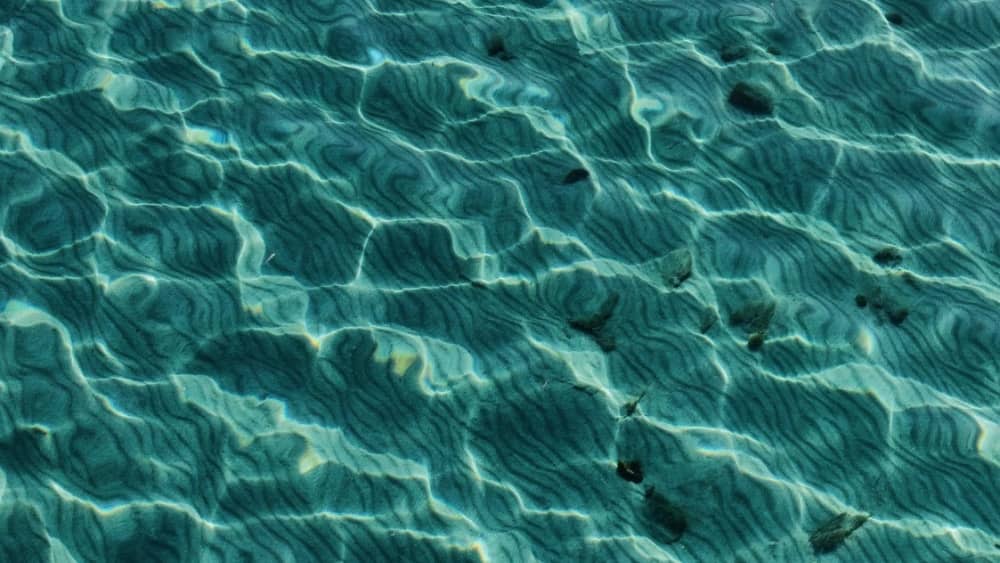 Din privata dag med sol och glädje i Novalja