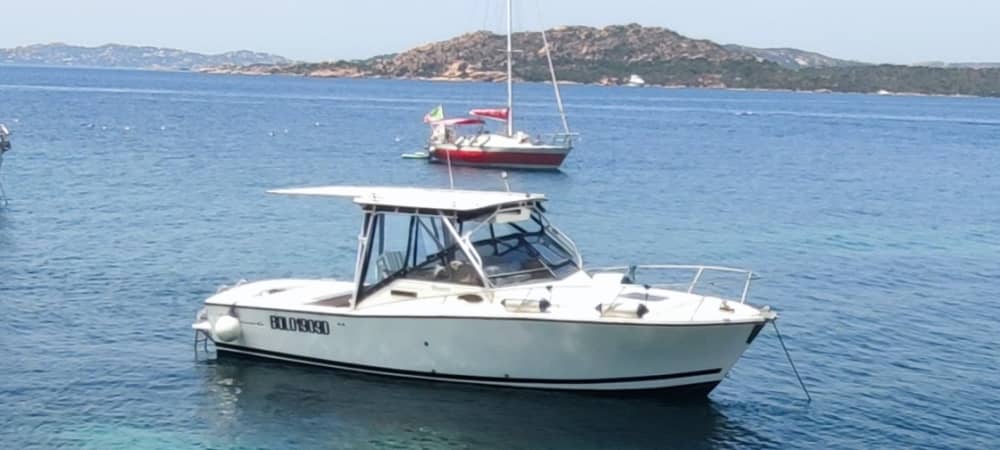Exclusive, personalized tour of the La Maddalena Archipelago on an elegant classic speedboat. Aperitif and lunch included.