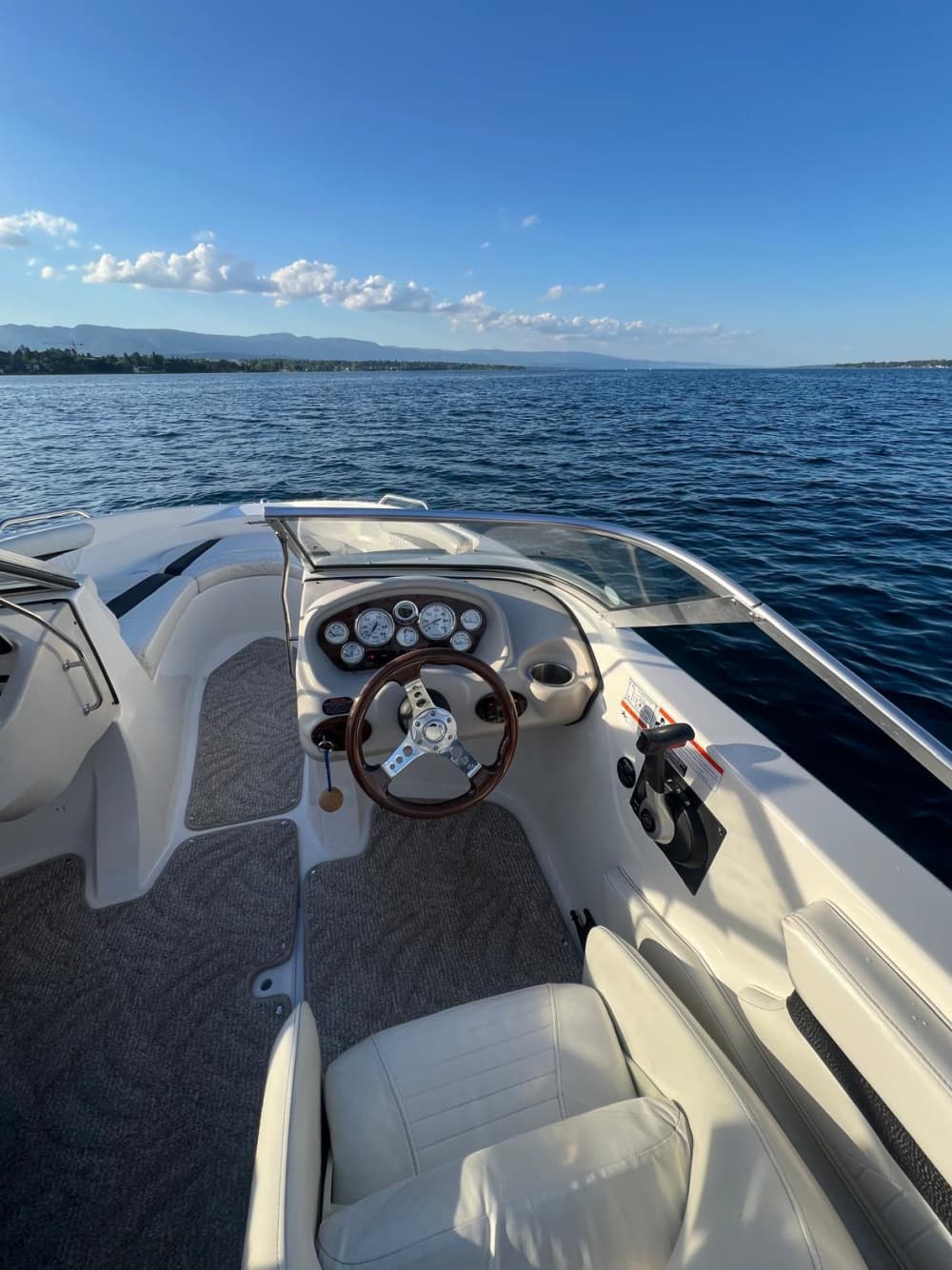 Relaxe em um passeio de barco de 4 horas em Genebra.