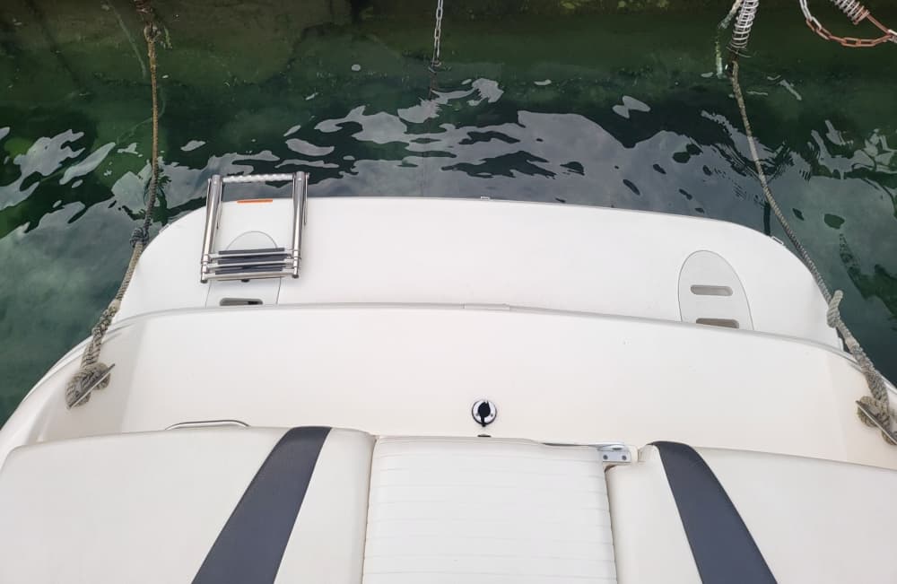 Relaxe em um passeio de barco de 4 horas em Genebra.