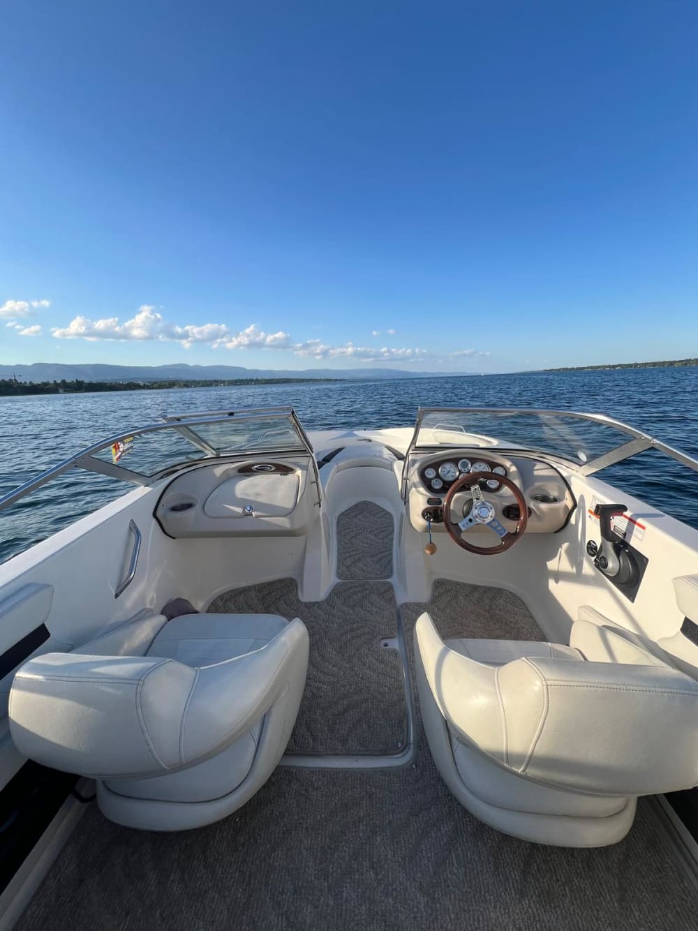 Relaxe em um passeio de barco de 4 horas em Genebra.