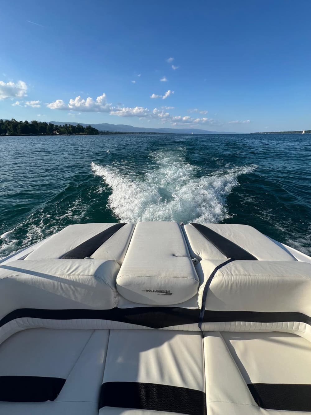 Relaxe em um passeio de barco de 4 horas em Genebra.