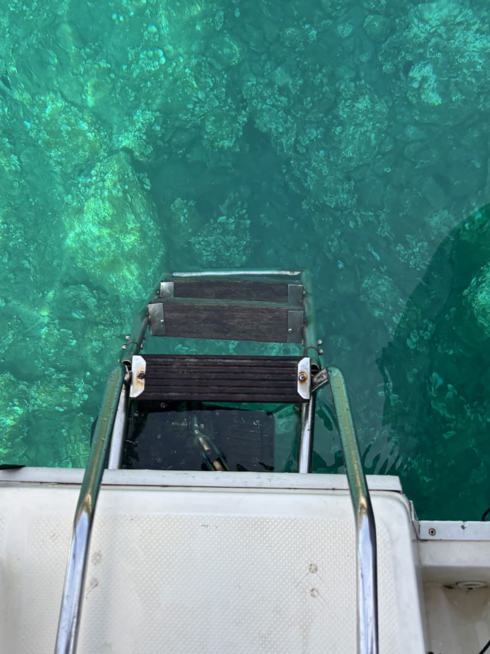 Discover Bar: En heldag i solsken på en motorbåt