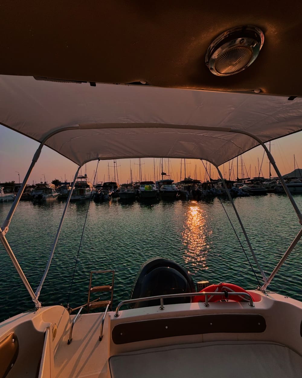 Discover Bar: En heldag i solsken på en motorbåt