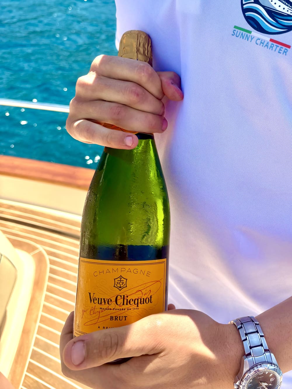 CAPRI-RUNDFAHRT: Ihre individuelle Bootstour ab Sorrento