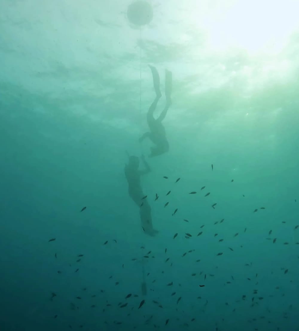 Premium Freediving Adventure Cruise "A Breath at Sea" Cap Camarat / Taillat (6h)