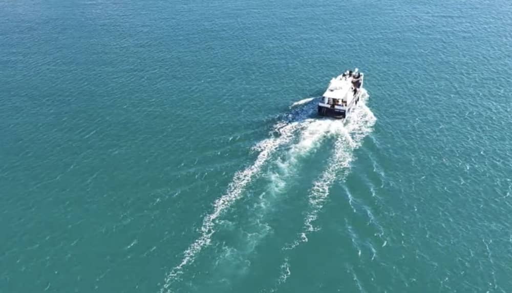 Festa Privada em Barco no Algarve – Cruzeiro de 3h com Música, Paragem para Banho e Bebidas (opcional)