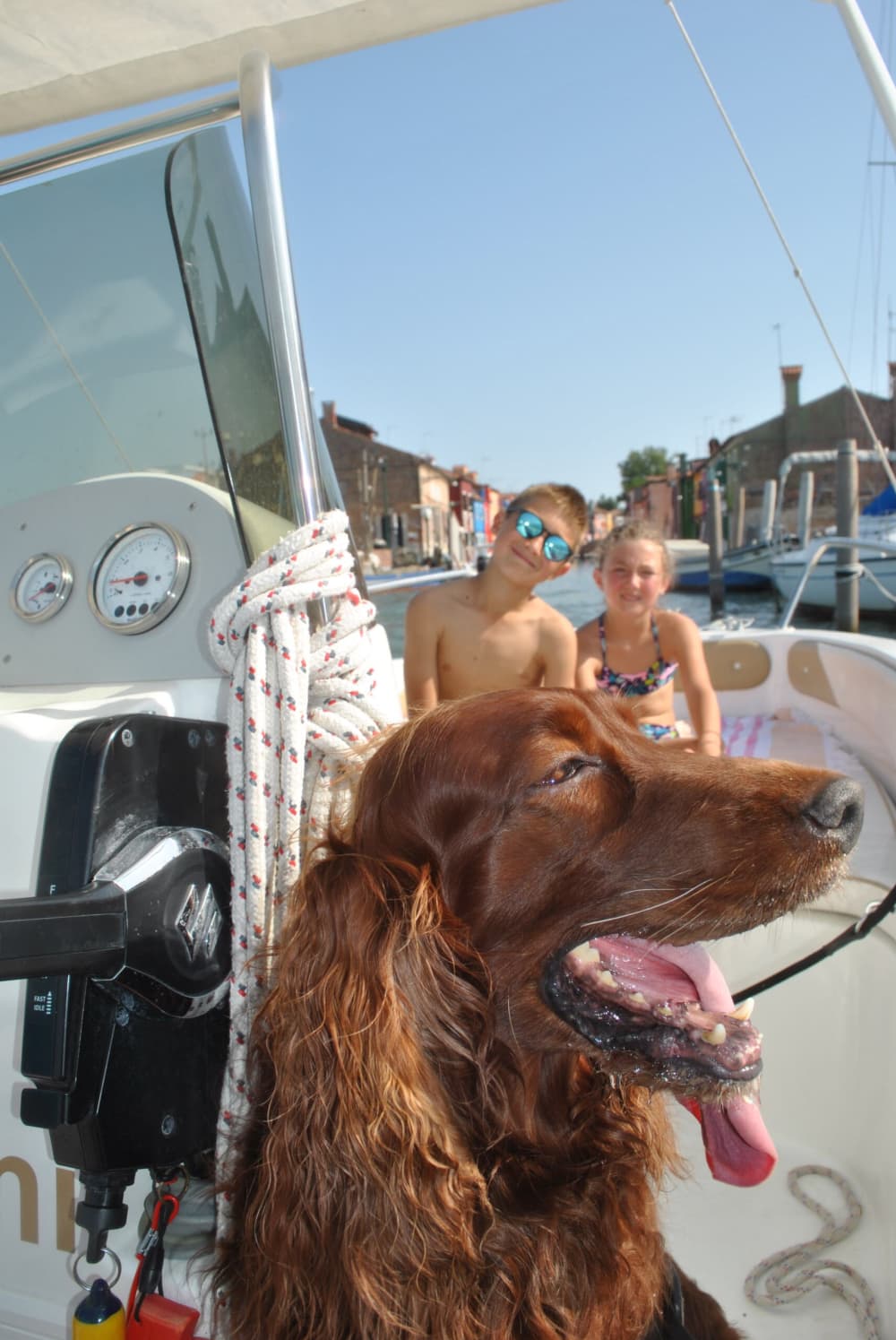 Escapadă ușoară la Veneția: O excursie cu barca de 2 ore și 30 de minute cu motorul