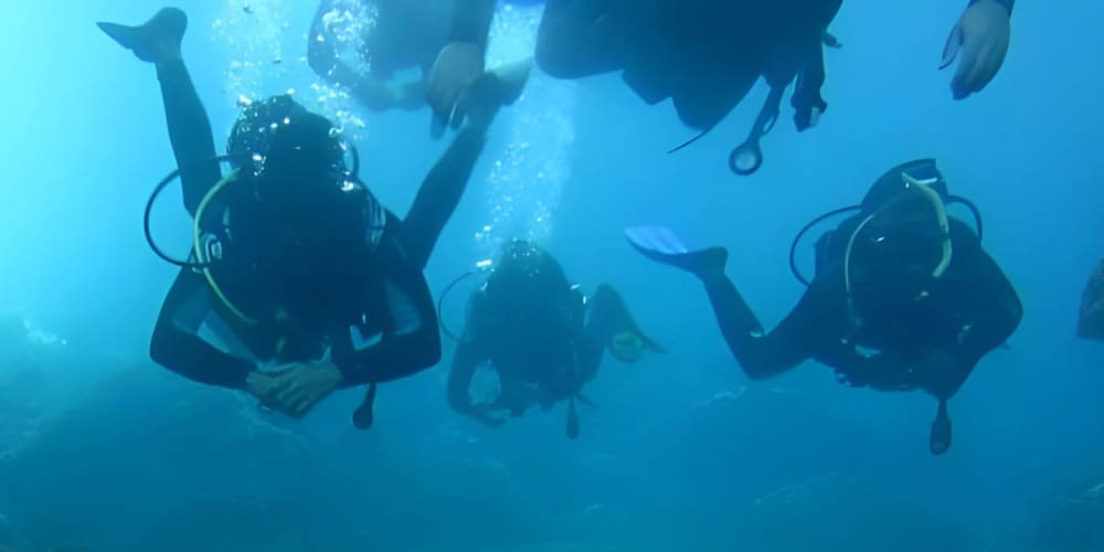 Эгейское приключение: дайвинг, рыбалка и исследование