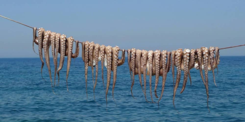 Από τις προπόσεις κατά την ανατολή του ηλίου μέχρι τις ζητωκραυγές κατά τη δύση του ηλίου