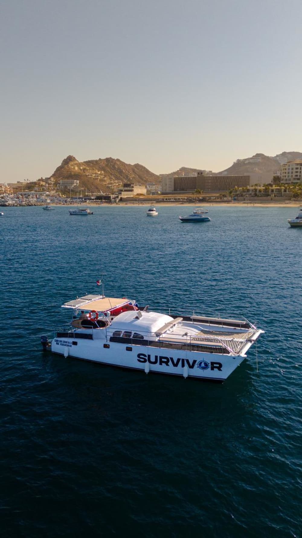 Profitez de chaque instant : une journée ensoleillée autour de Cabo San Lucas en catamaran