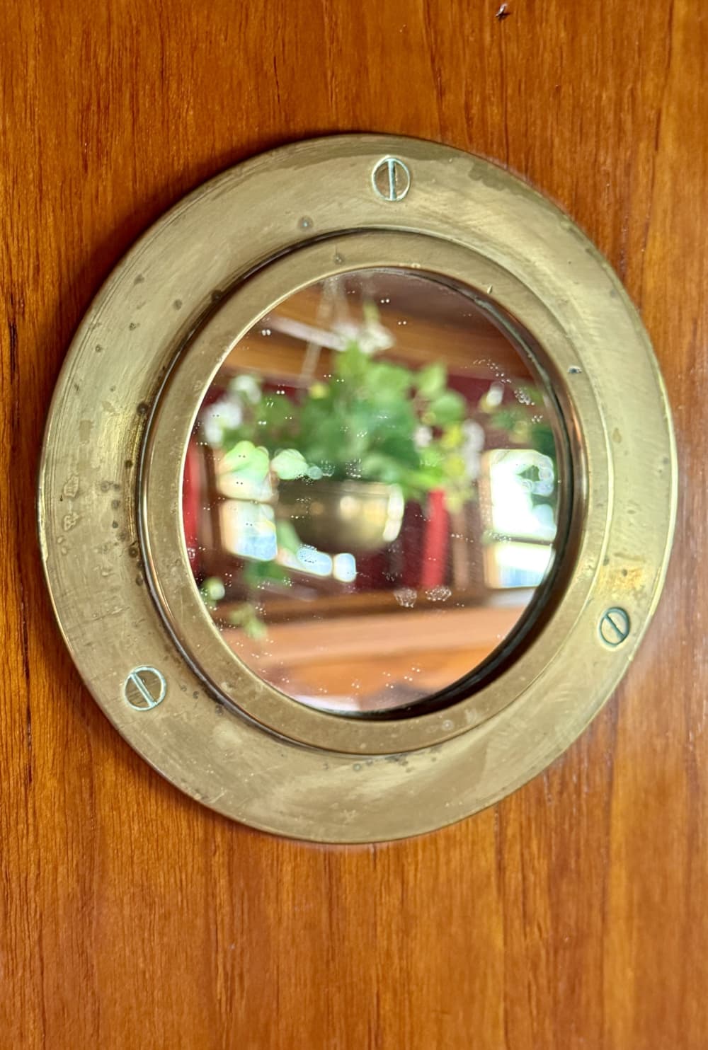 Een 4 uur durende ontsnapping naar het hart van de Biesbosch (vanuit jachthaven Drimmelen)