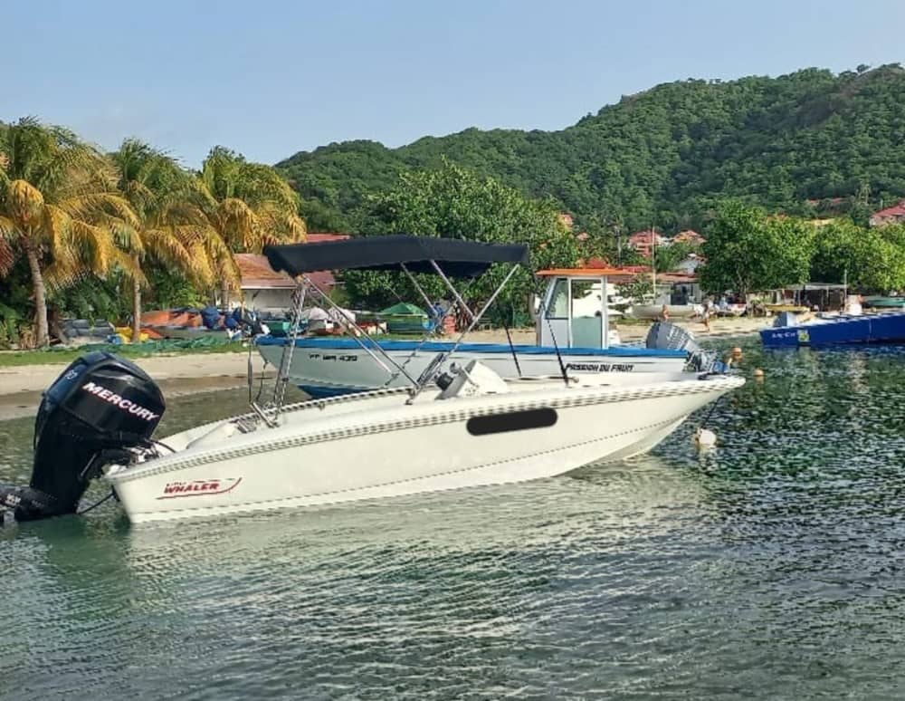 Des souvenirs inoubliables en mer : 8 heures de découverte de Pointe-à-Pitre