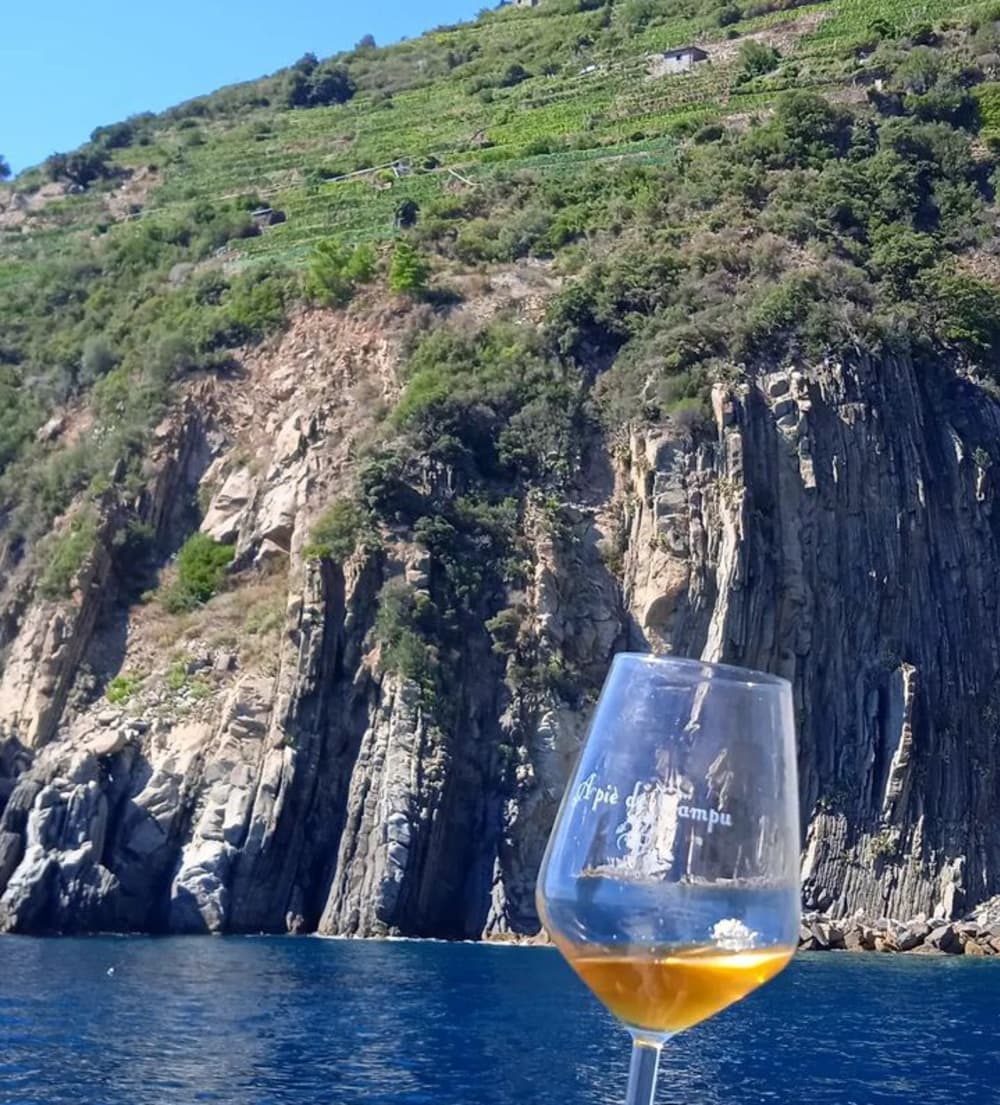 Explorez Manarola en bateau : une journée complète sur l'eau à bord d'un bateau à moteur