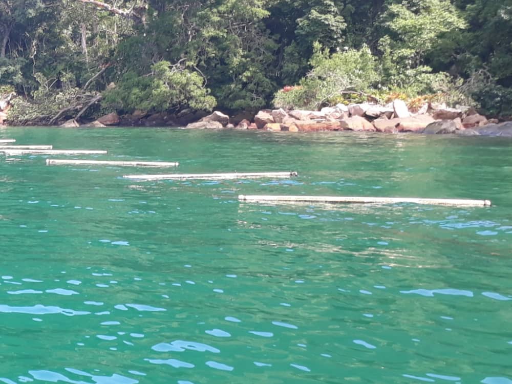 Ontspan tijdens een boottocht van 2 uur en 15 minuten in Paraty.